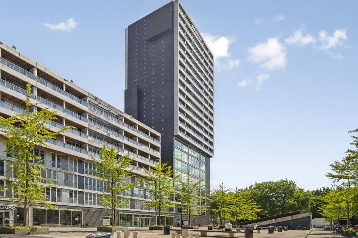 Professor de Moorplein 551 | 5037 DR Tilburg