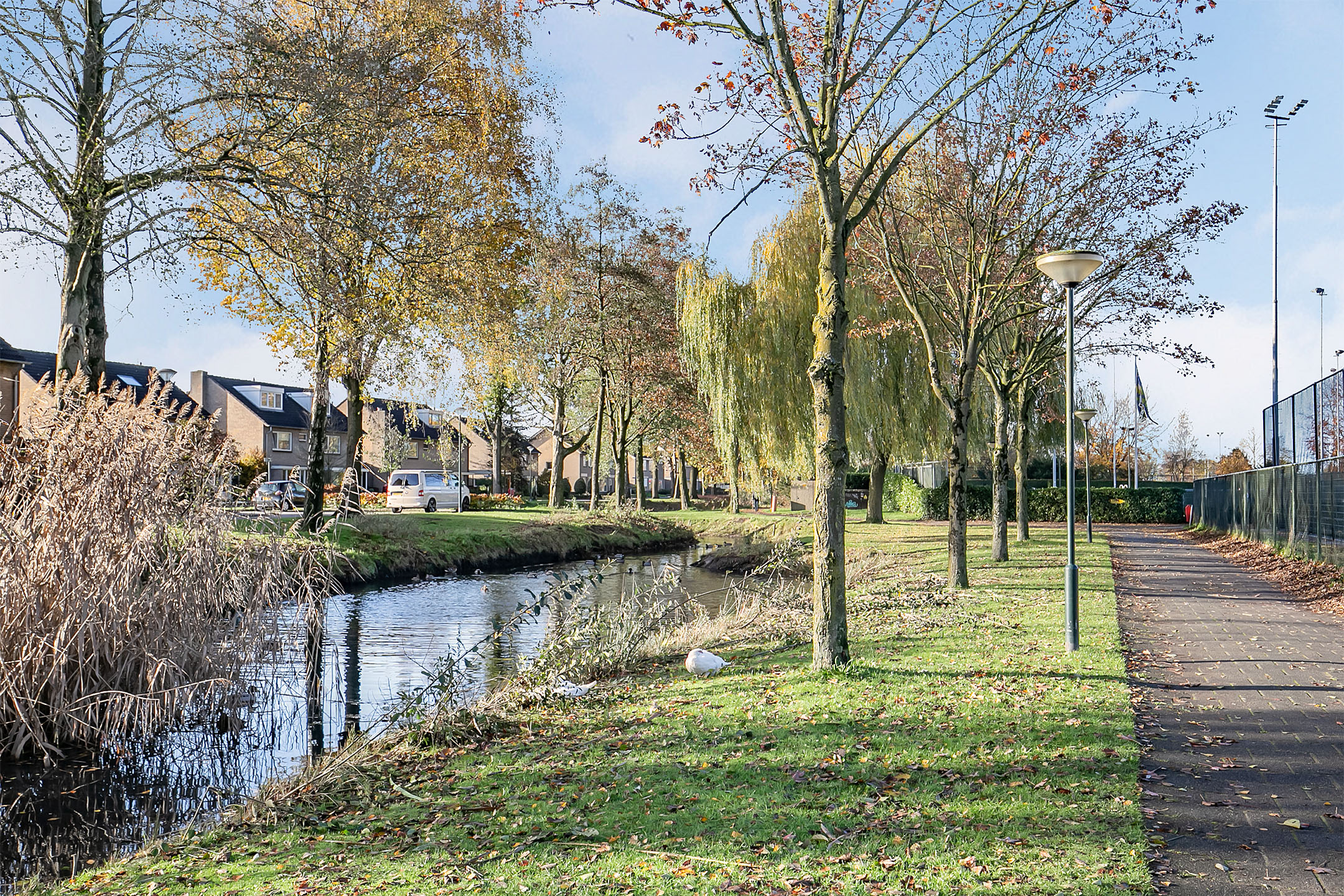 Groene omgeving met water in Hilvarenbeek