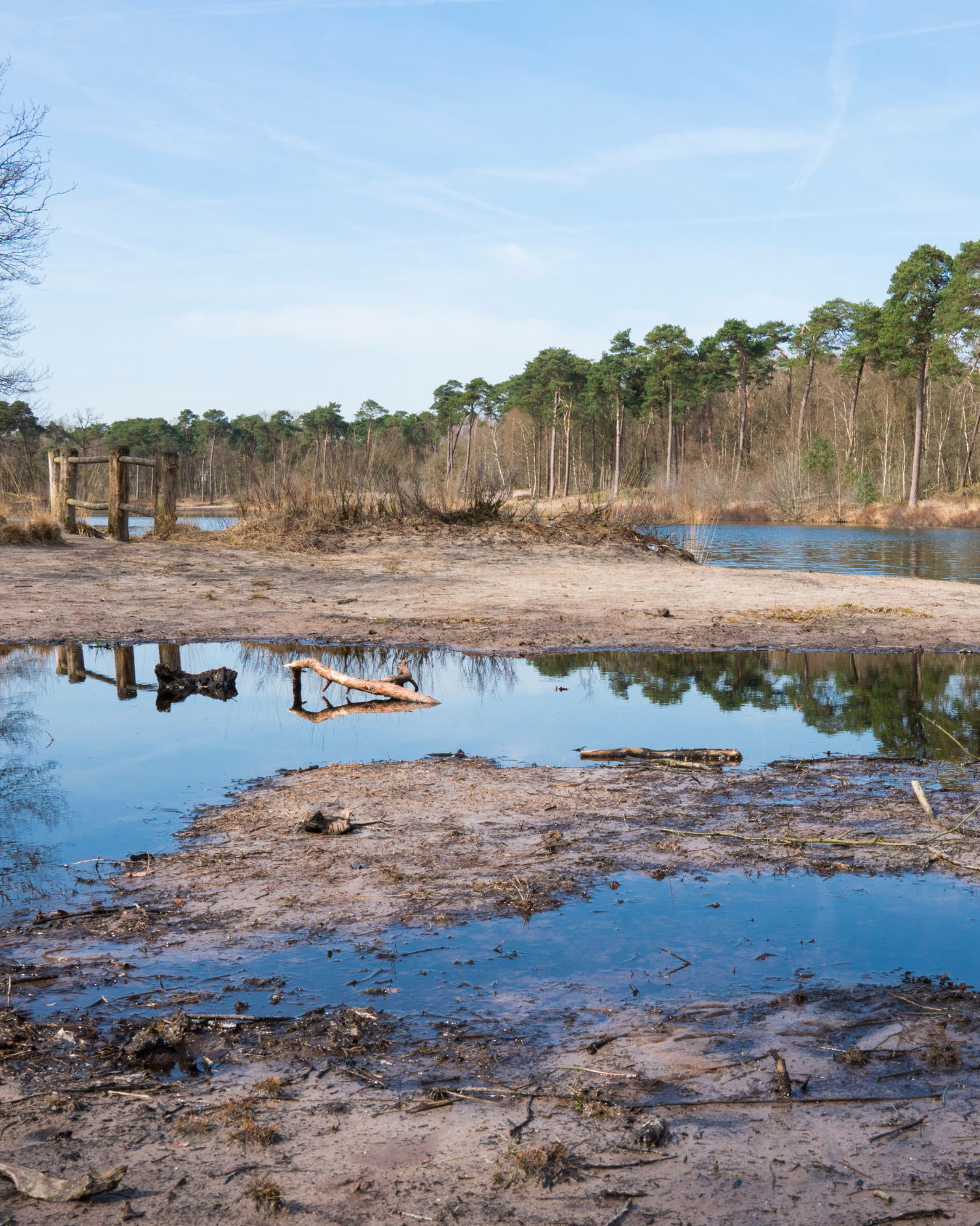 Natuur en water in de omgeving van Oisterwijk